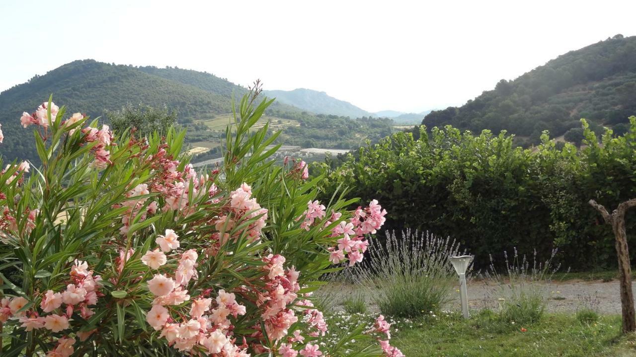 Les Chevrefeuilles Appartement Manosque Buitenkant foto